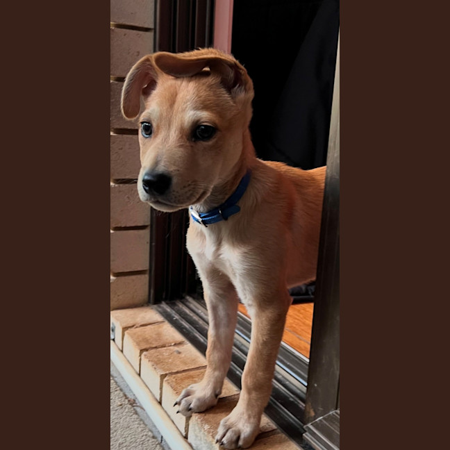 Photo of D1165 Wilson