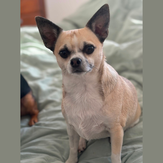 Photo of Bonded Pair 