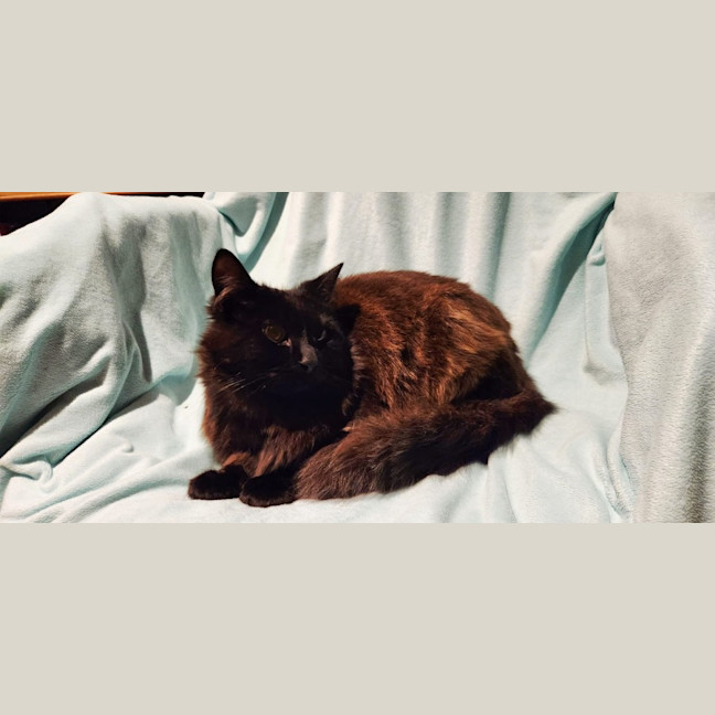 Photo of Baron