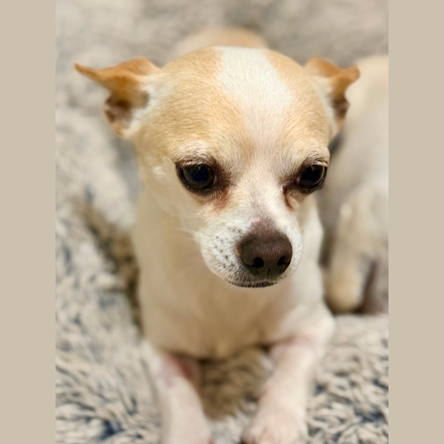 Photo of Mickey & Minnie