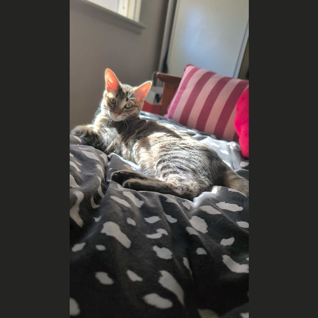 Photo of Angel