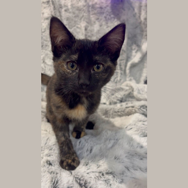 Photo of Wanda