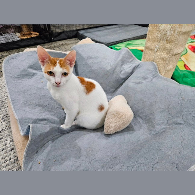 Photo of Sam