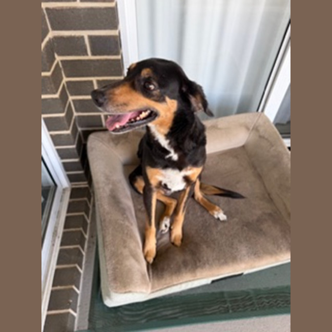 Photo of Molly 