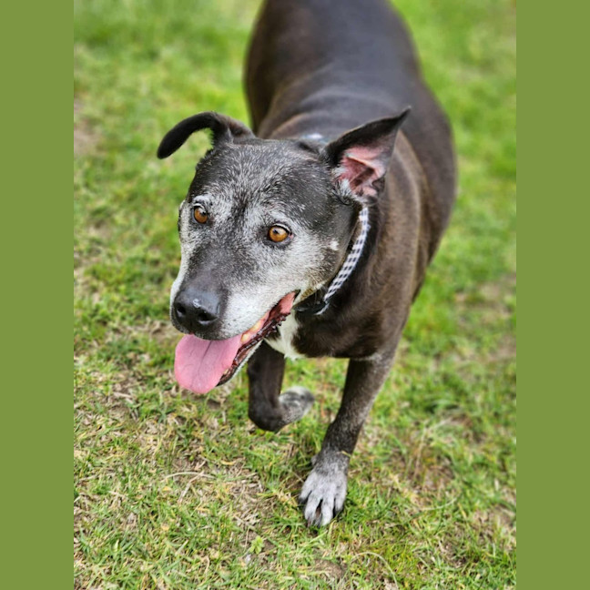 Photo of 🐻 Buster 6375 🐻