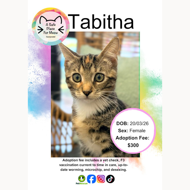 Photo of Tabitha