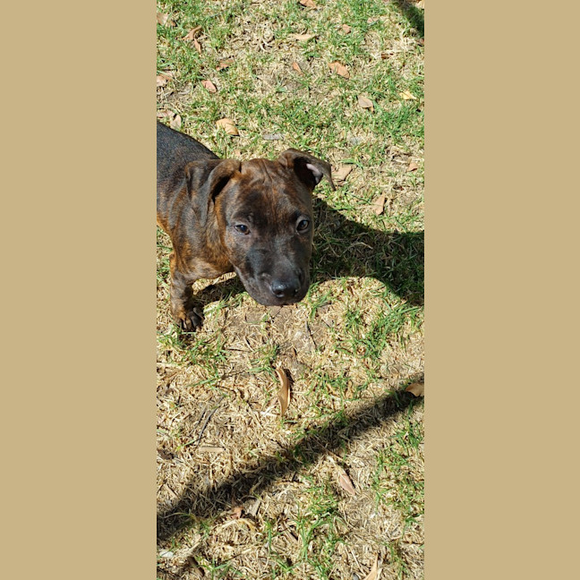 Photo of Chuggy