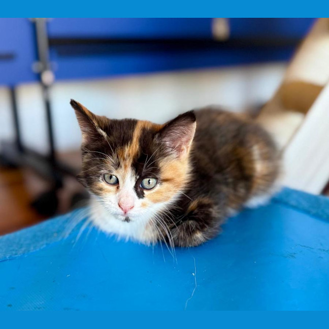 Photo of Sienna 🌷