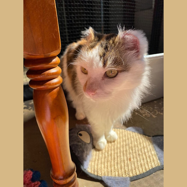 Photo of Jess