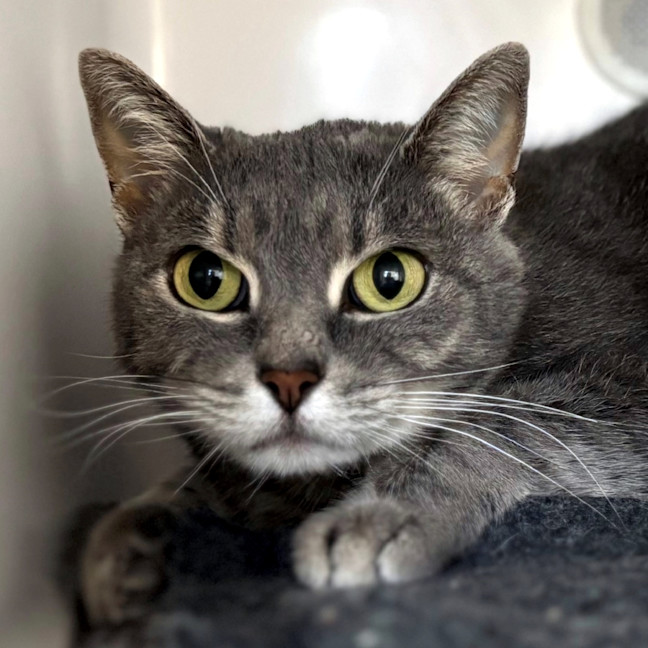 Photo of Frida Sua013457