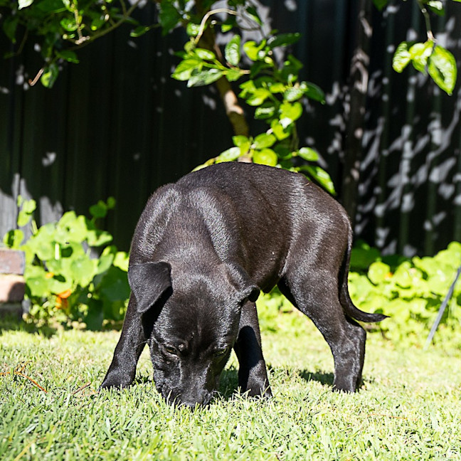Photo of Lumen