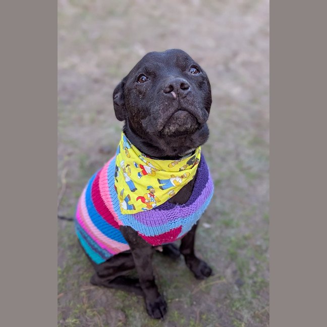 Photo of Polly 