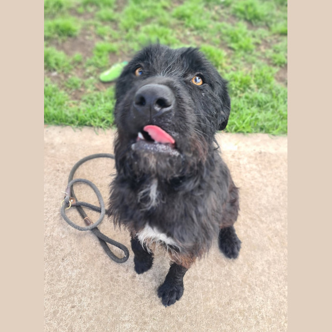 Photo of Maisy