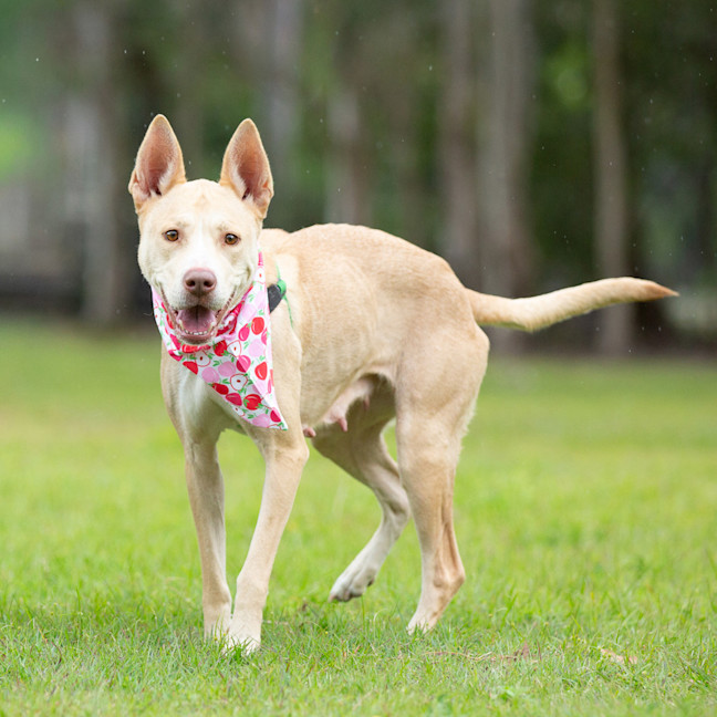 Photo of Polly