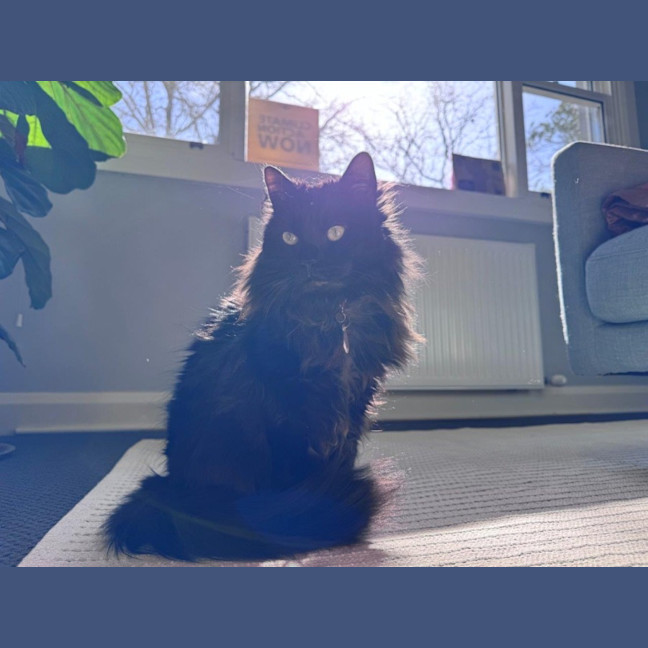 Photo of Sootie Uffelman