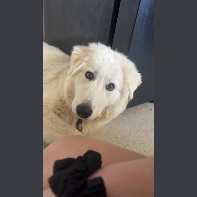 Photo of Angel