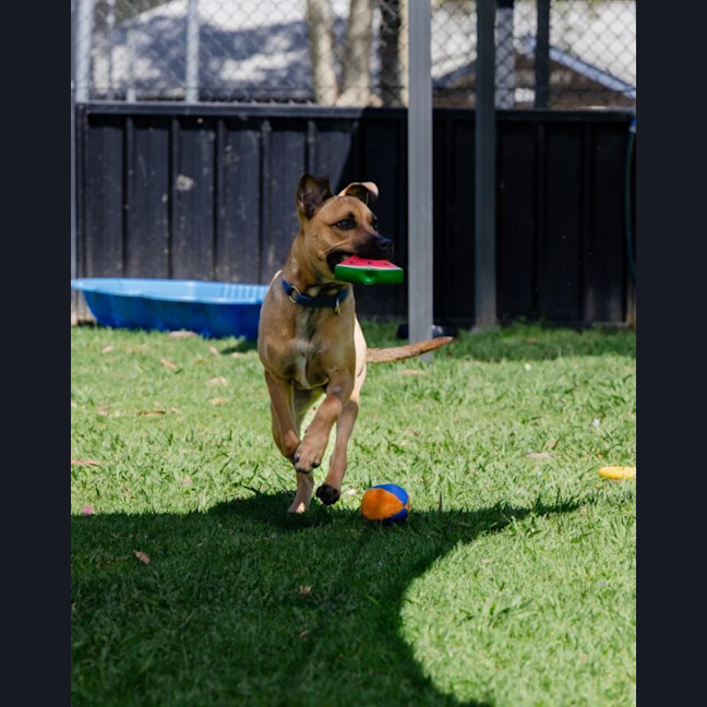 Photo of Kylo