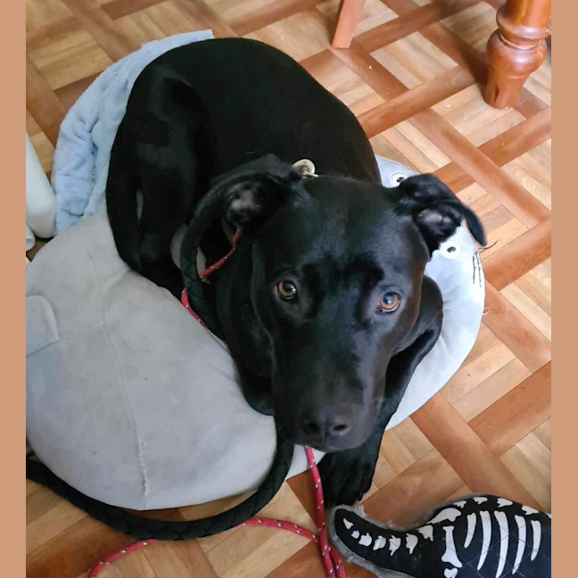 Photo of Max