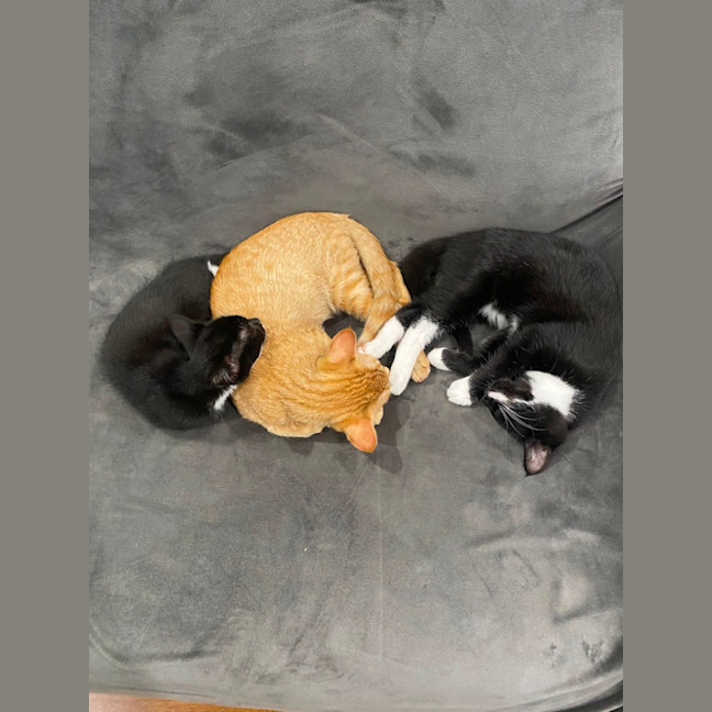 Photo of Baby & Belle