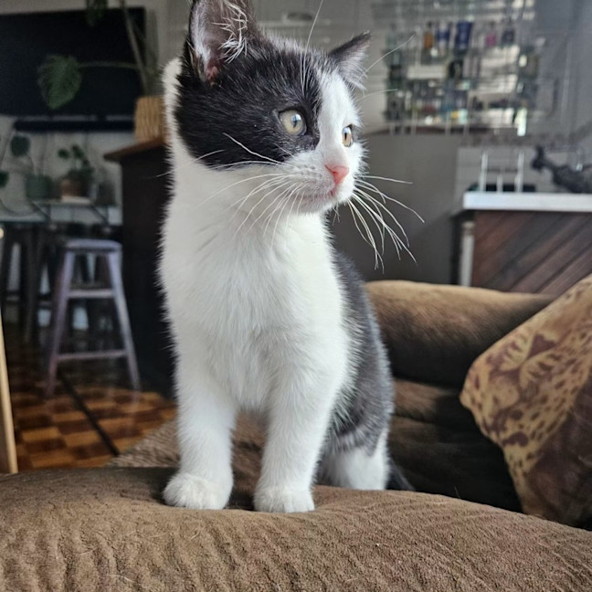 Photo of Georgia