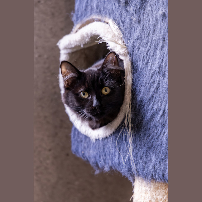 Photo of Natalie Cook