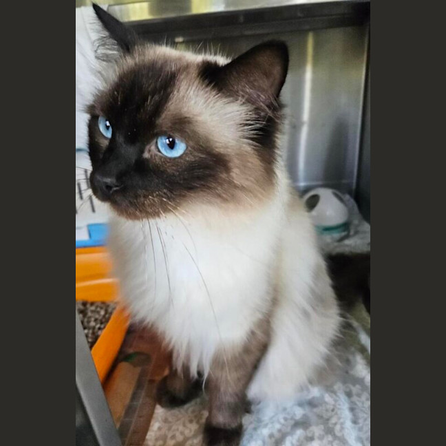 Photo of Theo
