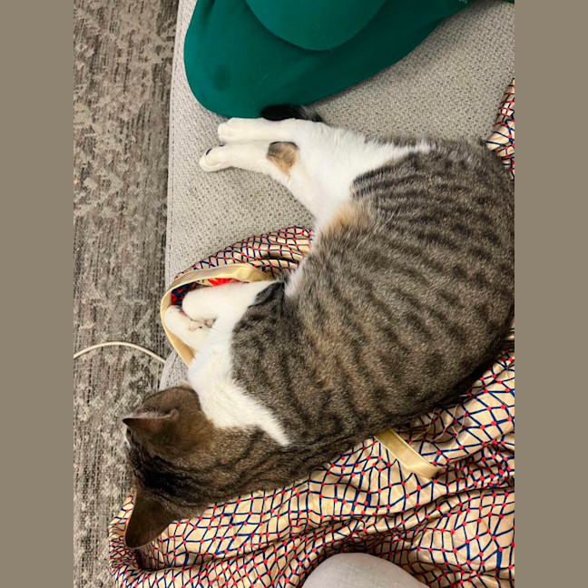 Photo of Lord Remington