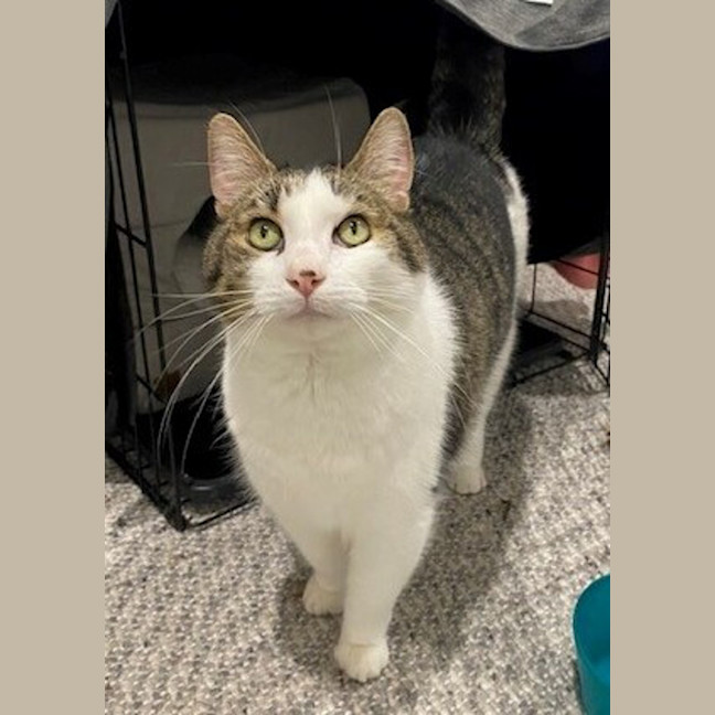 Photo of Barney