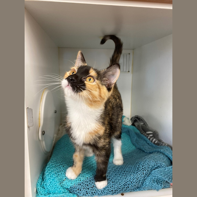 Photo of Molly
