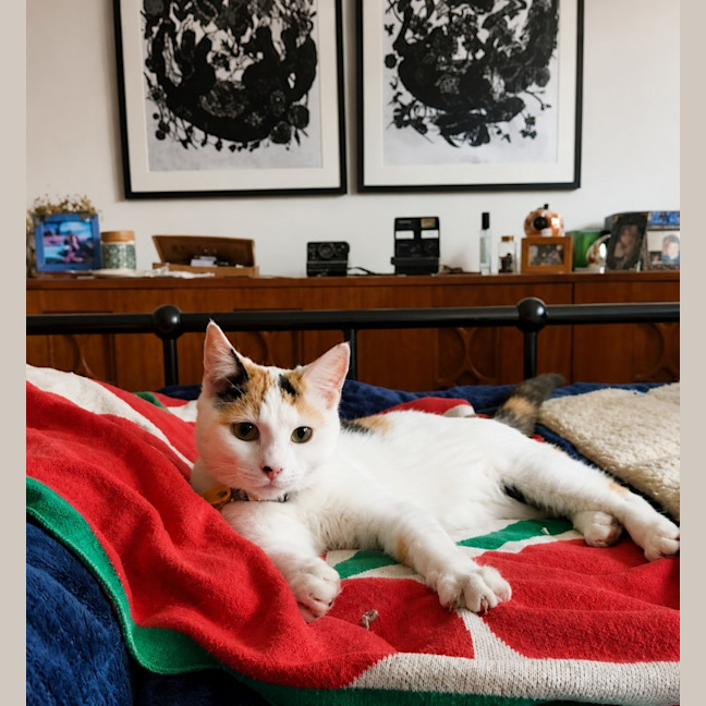 Photo of Sigrid