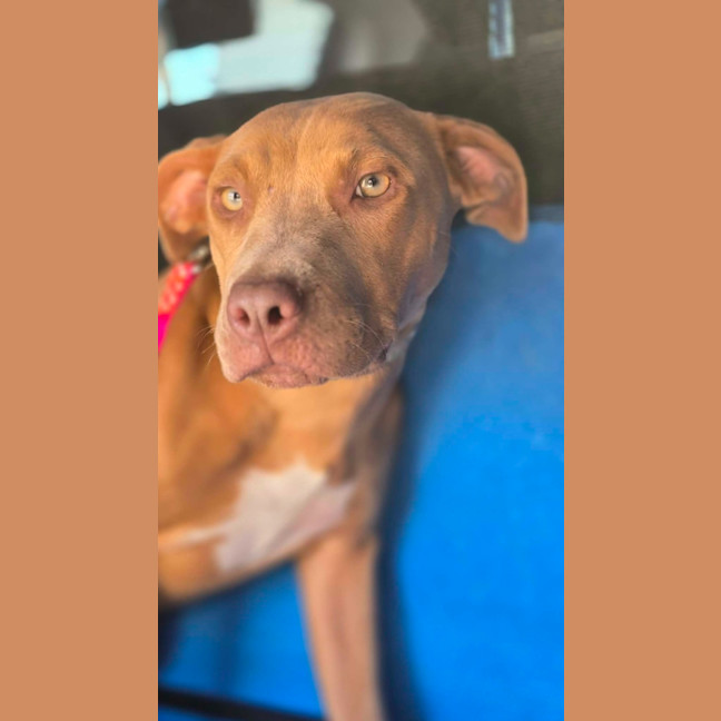 Photo of Princess