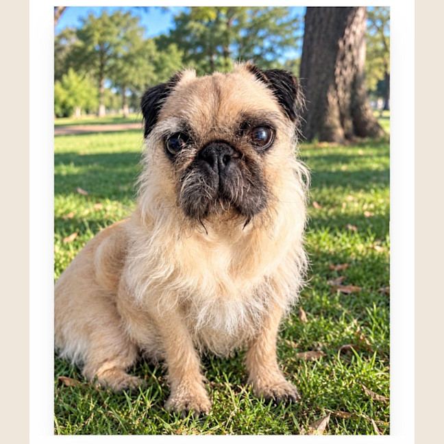 Photo of Frankie