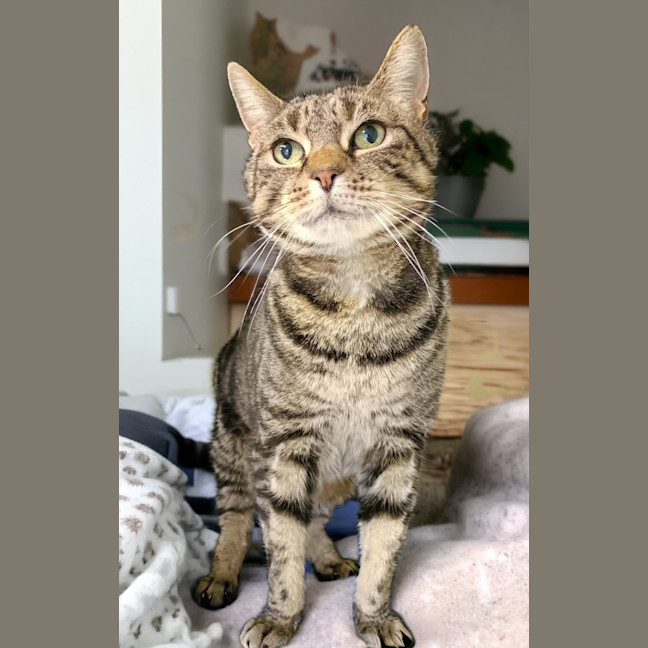 Photo of Lucky