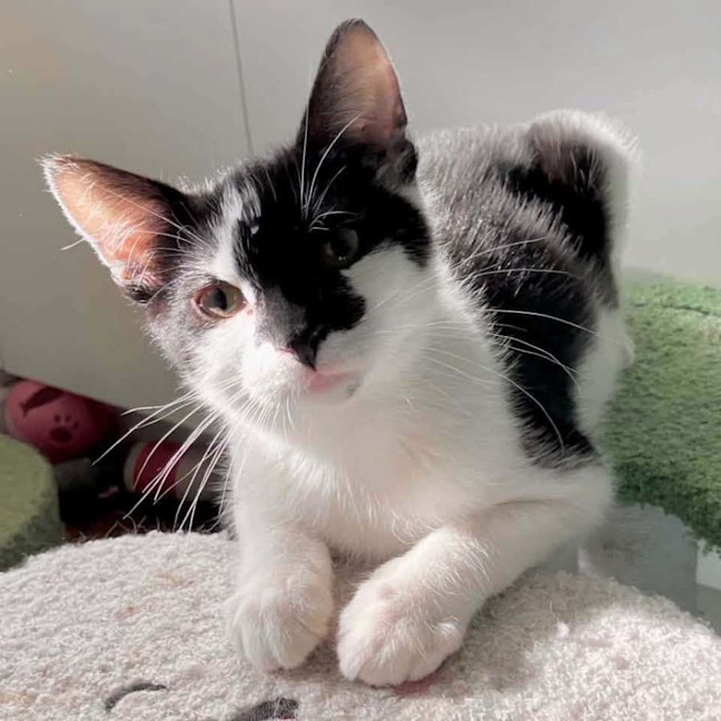 Photo of 14392   Smudge