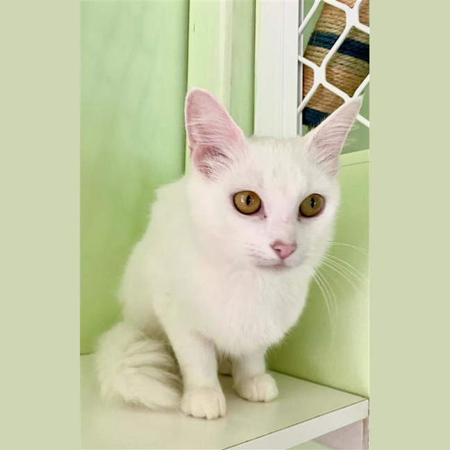 Photo of Cloud