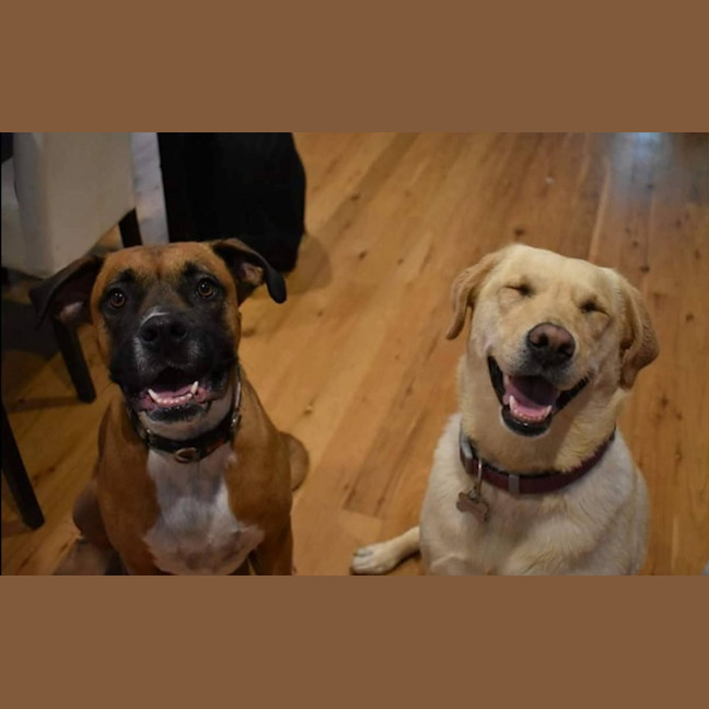 Photo of Riley And Lola