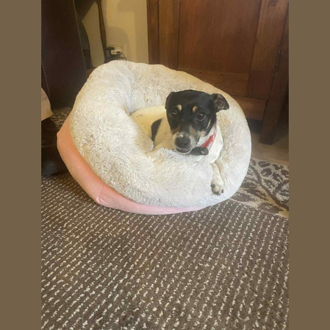 Photo of Mabel Uffelman  