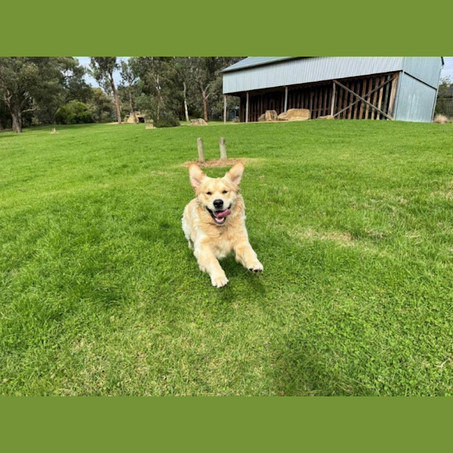 Photo of Sarrh Falko 