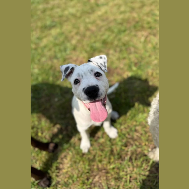Photo of Tilly