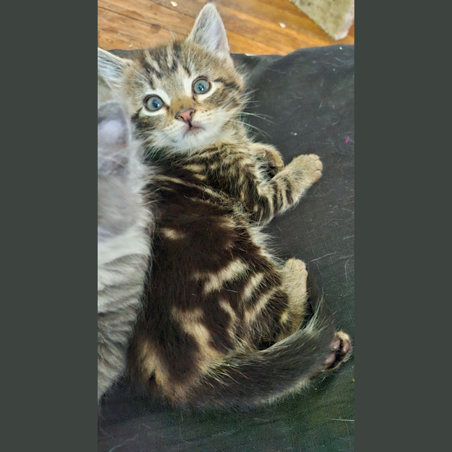 Photo of Neo