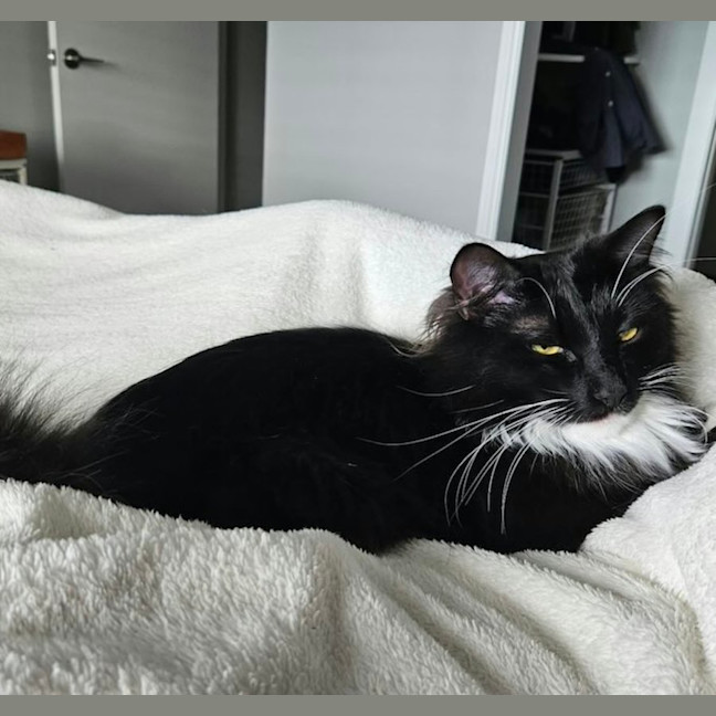 Photo of Manny