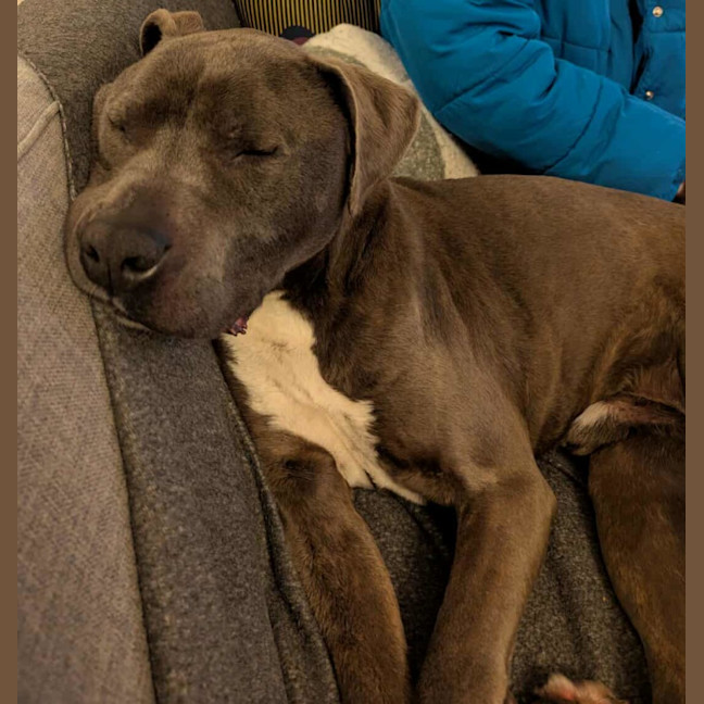 Photo of Diesel