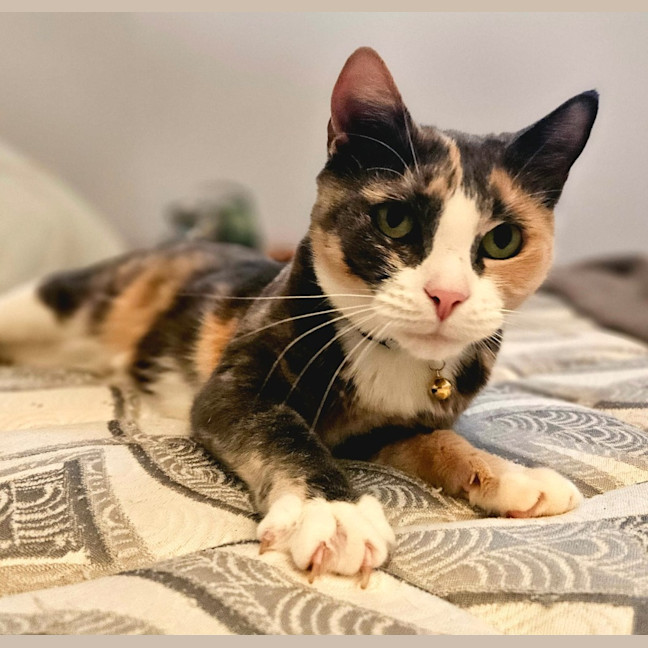 Photo of Kiki