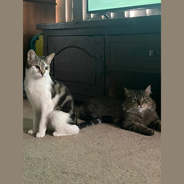 Photo of Ellie & Munchie