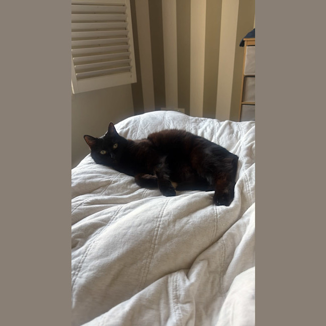 Photo of Mabel 