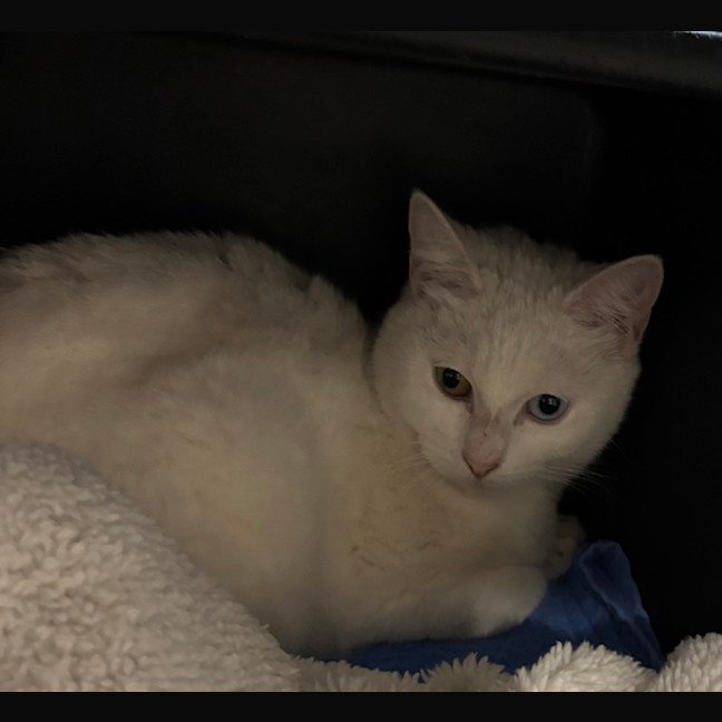 Photo of Peggy