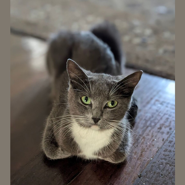 Photo of Zoe