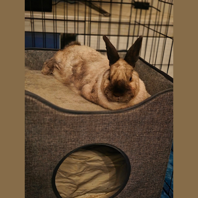 Photo of Evie