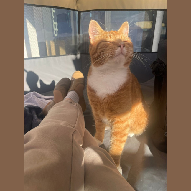 Photo of Lily & Charlie