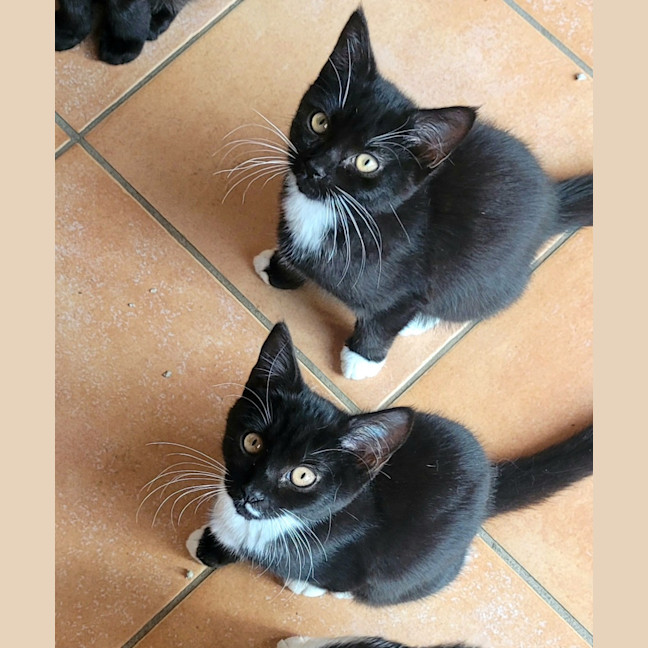 Photo of 💕 Chandler Bing 💕